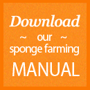 Download Our Manual